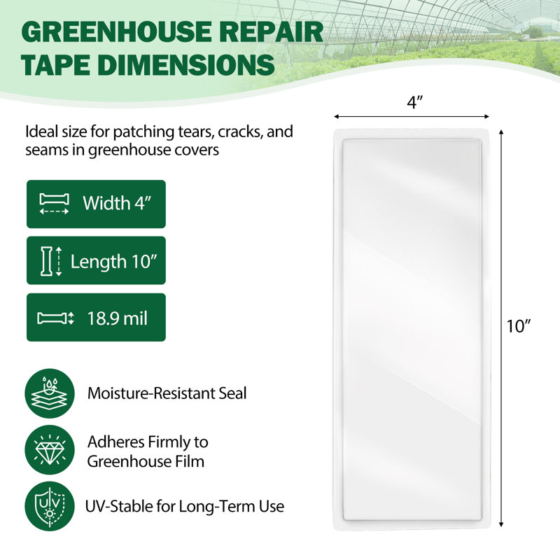 Ensemble de 4 rubans de réparation transparents pour serre 4 po x 10 po