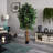 72'' Faux Ficus Tree in Pot
