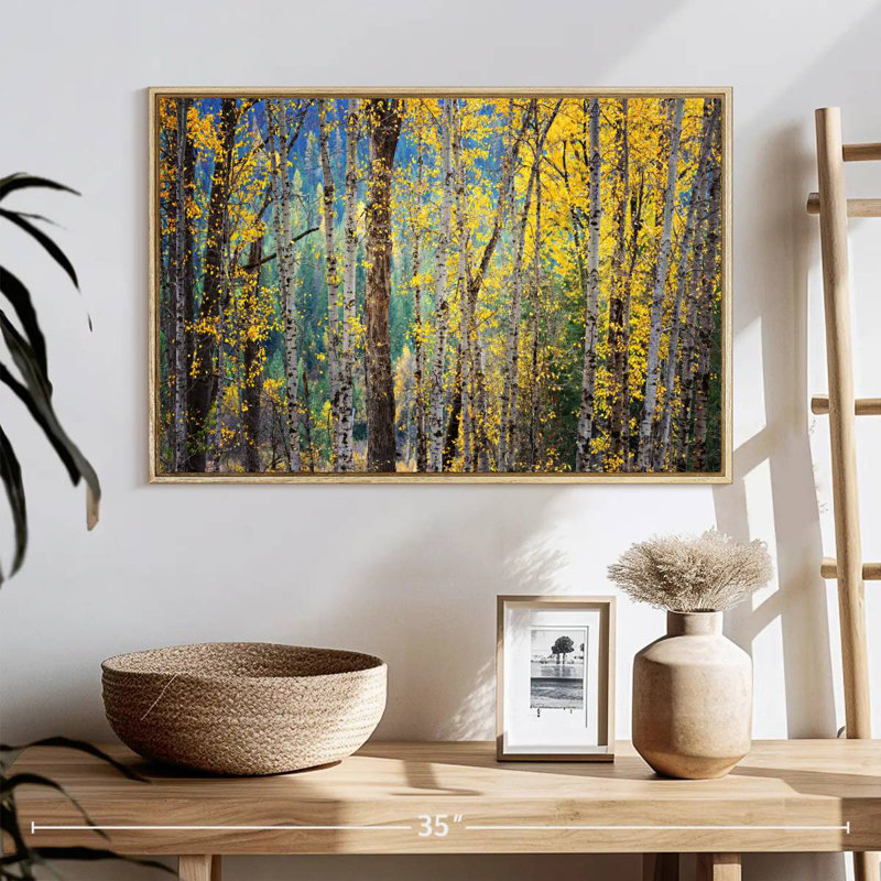 Kootenay Fall II, 25 po x 17 po, Cadre flottant en bois naturel