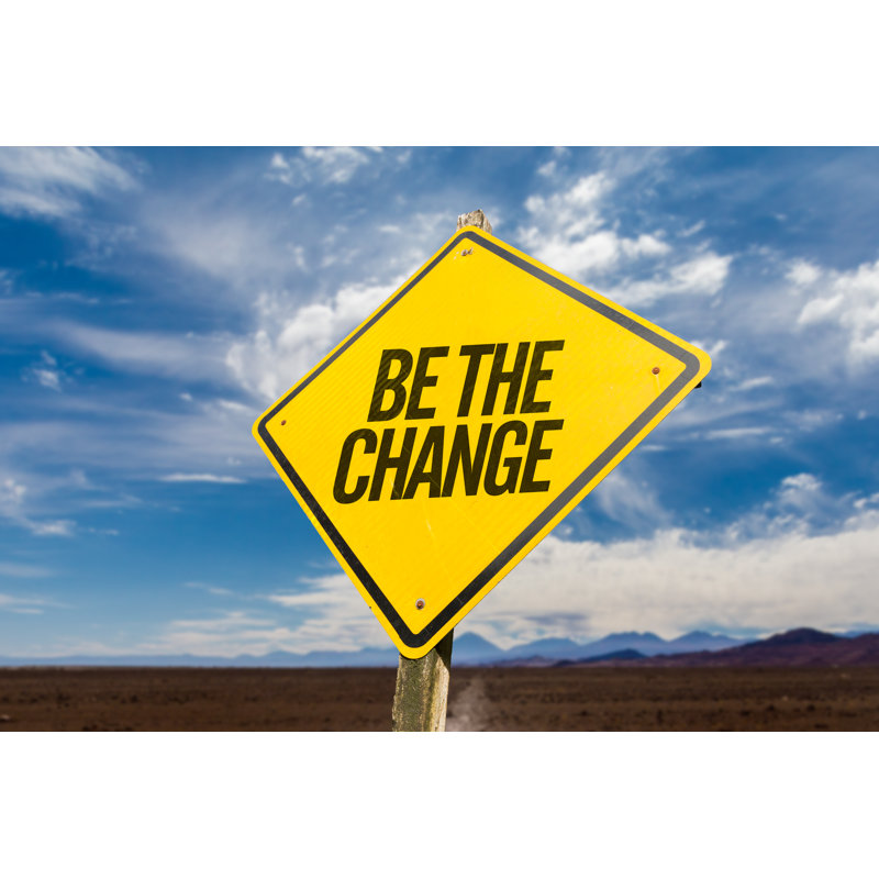 Be The Change by Gustavofrazao - Wrapped Canvas Print, 81cm H x 122cm W x 3.8cm D