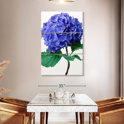 Fleurs d'hortensia bleu Harnek