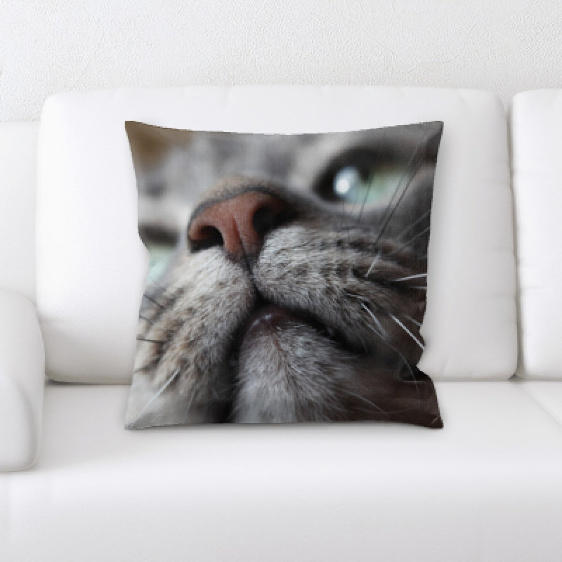 Coussin pour chat