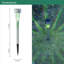 Silver Low Voltage Solar Powered Integrated LED Pathway Light Pack