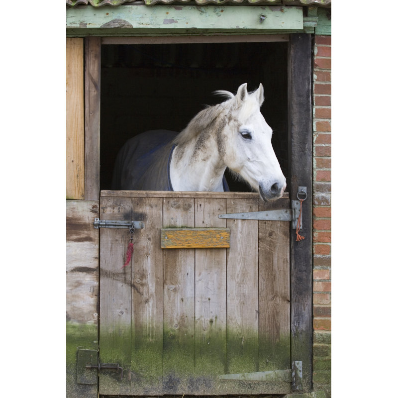 «Horse in Stable» par Paulmaguire - Photographie sur toile tendue, H 18 po x l 12 po