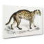 Viverrine Cat Illustration by John Edward Gray - Wrapped Canvas-55370246