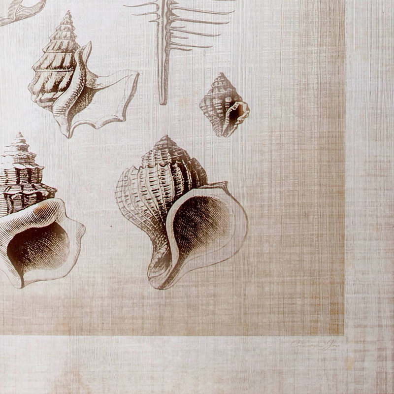 Toile texturée embellie à la main, collection Ocean Shell I par Christopher James a, Ocean Shell Coll II