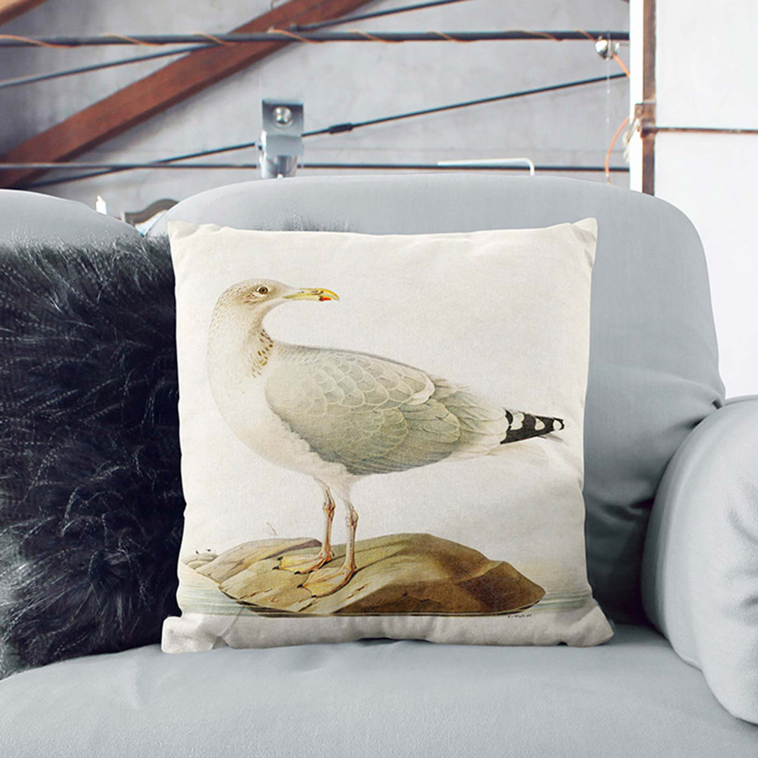 European Herring Gull by Von Wright Cushion with Filling