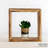 Square Cube Shelf with Adjustable Shelves-610251330