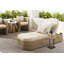 Bliss Outdoor Lounge Chair-1669565657