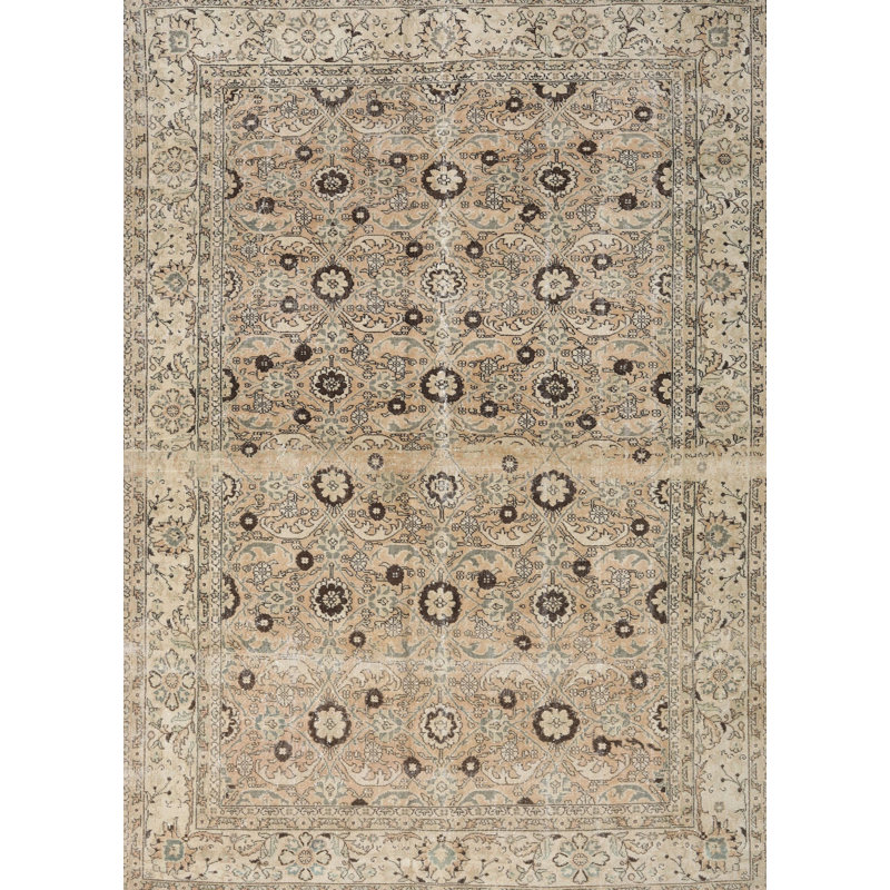 Anwen Oriental Indoor Rug, Rectangle 8' x 10'