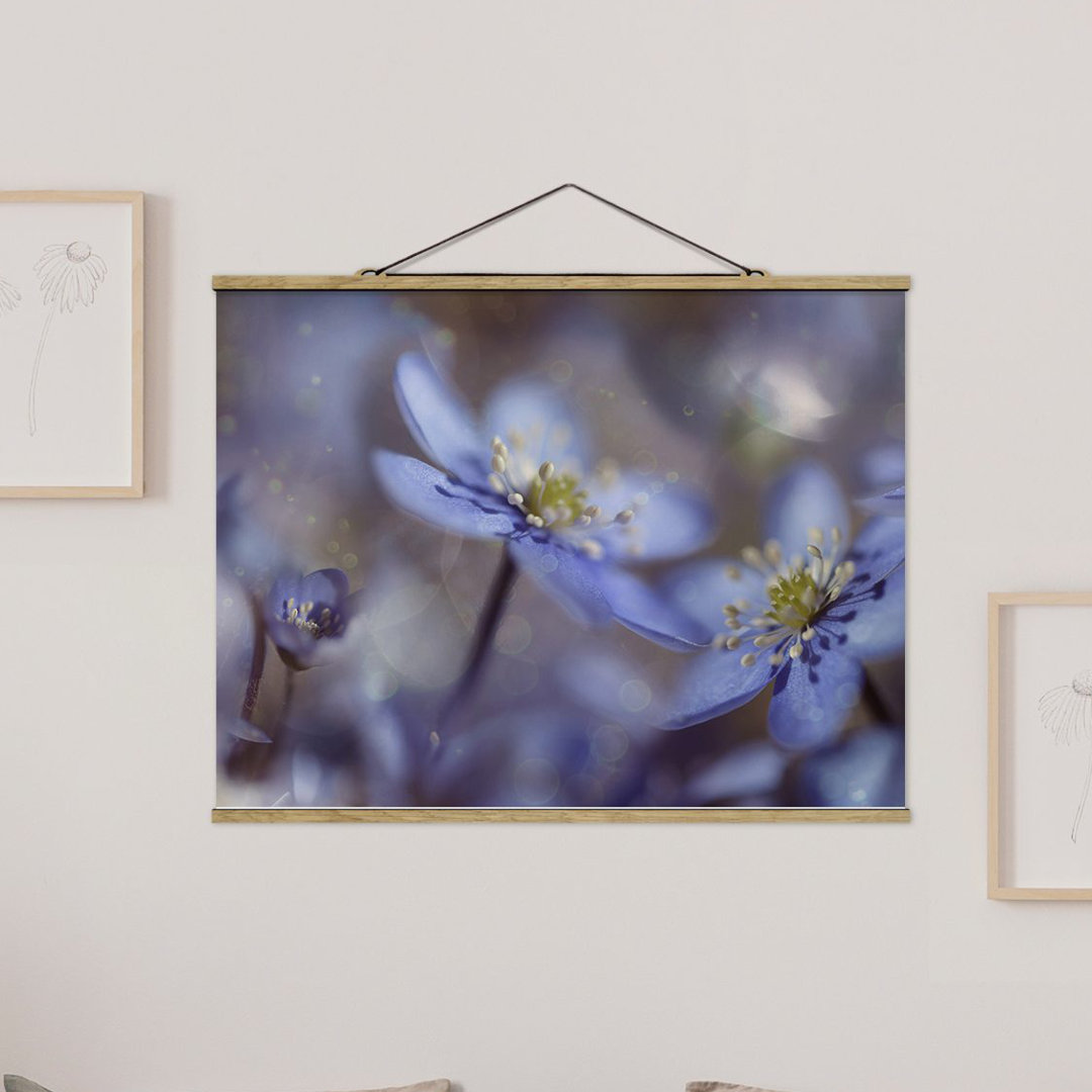 Wandbild Anemonen in Blau