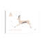 Antilope - impression d'art graphique-52839112-52839135-52839118