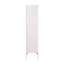 Tall Narrow Tower Freestanding Cabinet With 2 Shutter Doors, Entryway Cabinet