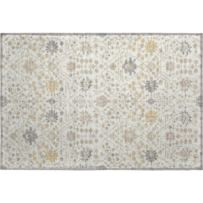 Premium Machine Washable Colmenero AMF1009 Oriental Rug
