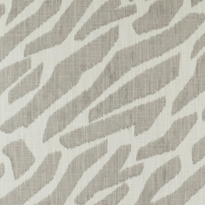 Zany Fabric
