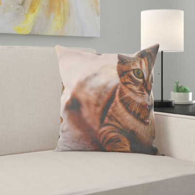 Housse et insert de coussin carré pour chat