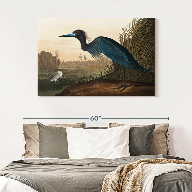 Brampt Blue Crane Or Heron