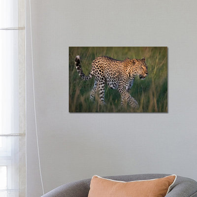 Africa, Kenya, Maasai Mara National Reserve. Close-Up Of Walking Leopard by Jaynes Gallery - Wrapped Canvas Print