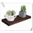 Marquies 4 Piece Solid Wood Floating Shelf-951377020