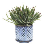 Modern Textured Ceramic Planter with Saucer