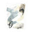 Art mural WAG37707 de Wrought Studio June Erica Vess-1262176409