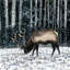 Caribou rustique bleu sur toile - Forêt d'hiver