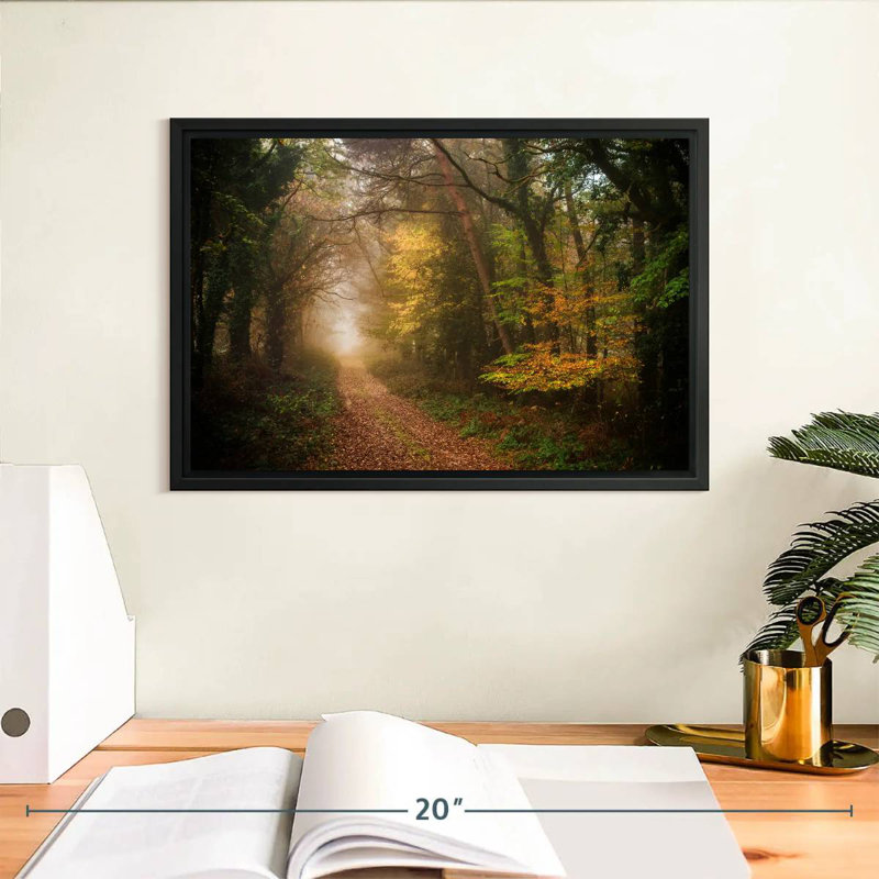 Chemin dans la forêt d'automne, Cadre flottant noir, 13 po x 9 po