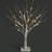 Twig Birch Tree with Lights