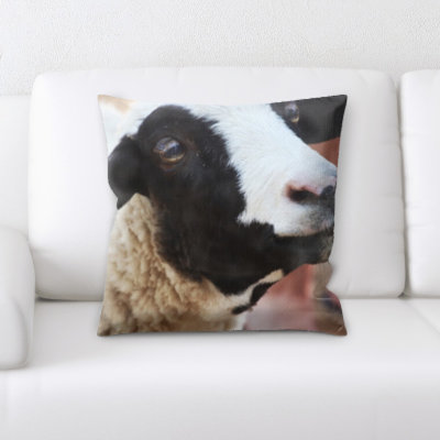 Microsuede Reversible Throw Pillow
