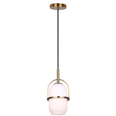 Luminaire suspendu 1 lumière Danita