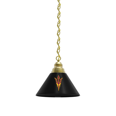 1 - Light Single Pendant