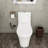 TCYO GPF Elongated One-Piece Toilet (Seat Included)