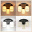 Plastic Semi Flush Mount