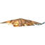 10-Light 8 Point Capiz Star Tree Topper