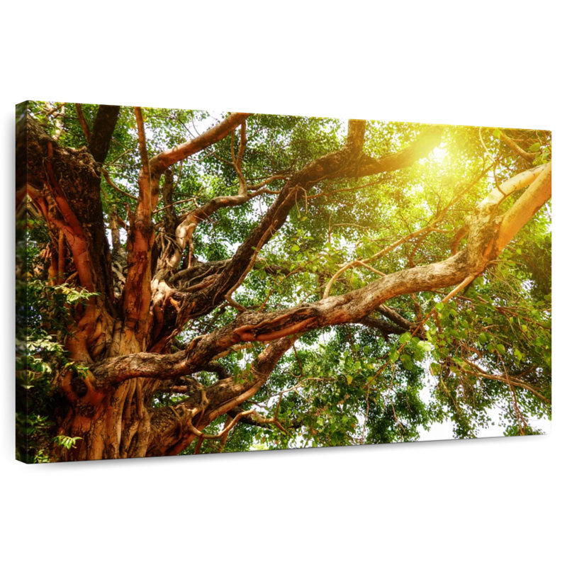 Harnek Sunlit Giant Bodhi Tree, 16" H x 24" W