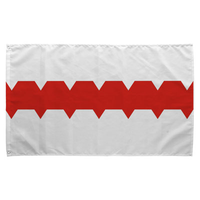 Drapeau de la ville d'Omsk — Drapeau