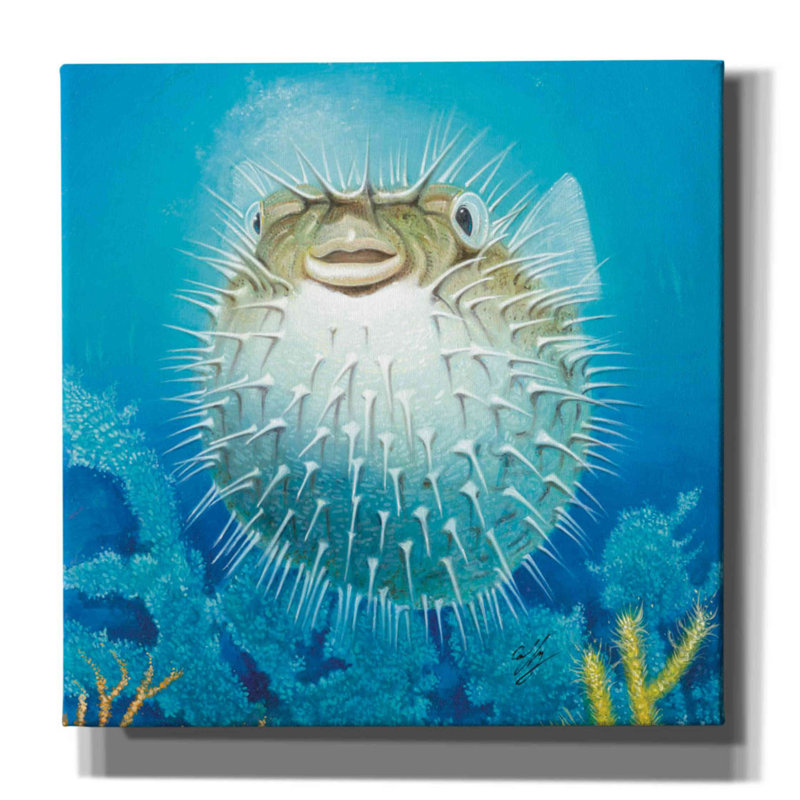 «Puffer Fish» par Durwood Coffey, art mural sur toile, H 26 po x l 26 po x P 1,5 po