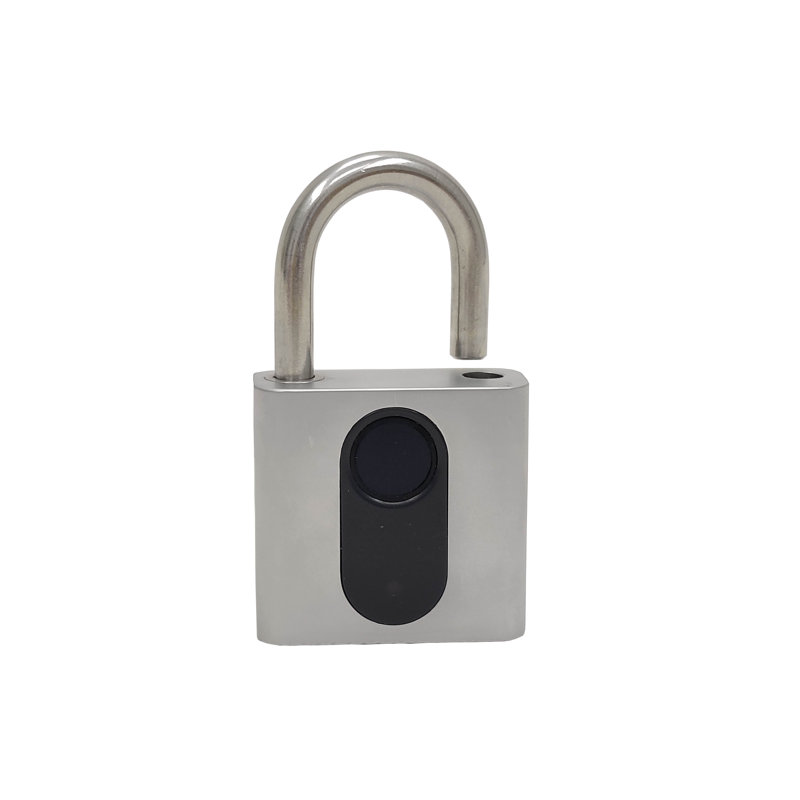 Cadenas d'empreinte digitale, application de verrouillage Bluetooth déverrouillage d'accès à distance, cadenas intelligent, verrou sans clé