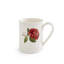 Portmeirion, Botanic Garden Roses - Tankards (Mixed)