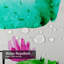 Aquarelle, cactus, plante grasse, alpaga botanique naturel avec 12 crochets-454146569