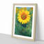 The Sunflower - Picture Frame Painting Print-56855640-56855641