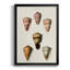 «Cone Shell Collection IV», reproduction encadrée de qualité supérieure - prête à être accrochée-88285896-88285897