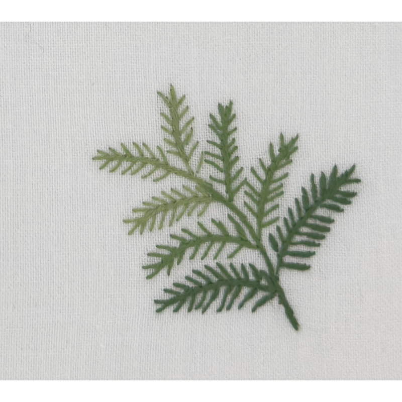 Fern Cocktail Napkins