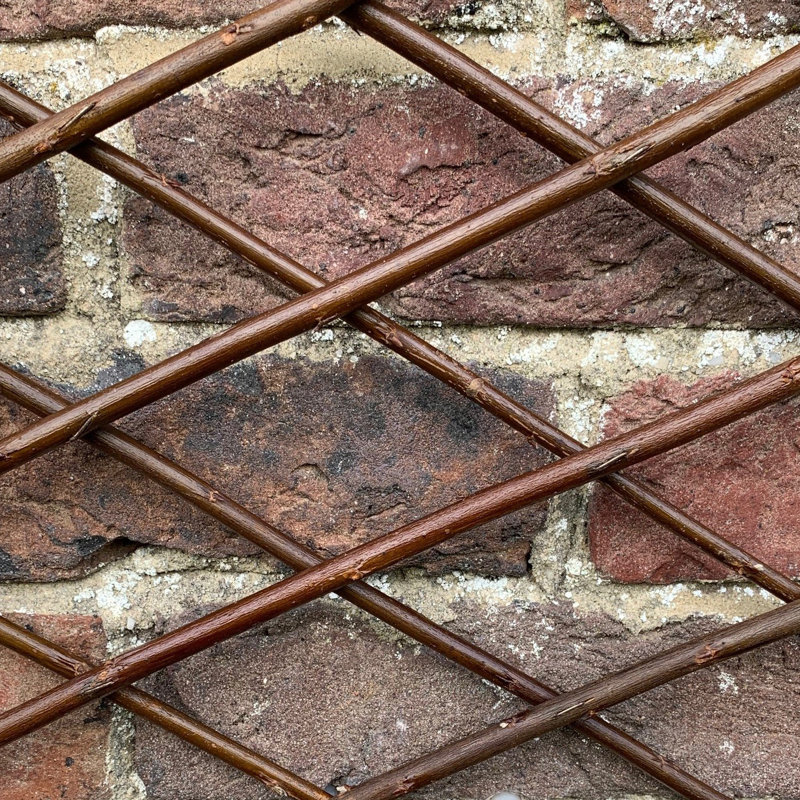 Andromede 180cm H Wood Expanding Trellis, 180" H x 30" W x 1" D
