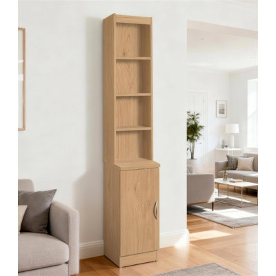 Moreland 1 -Door 3 -Shelf Storage Cabinet