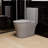Matte Grey Slim One-Piece Toilet Dual Flush 1.1/1.6 GPF Water-Saving Comfort Seat Height-116252536