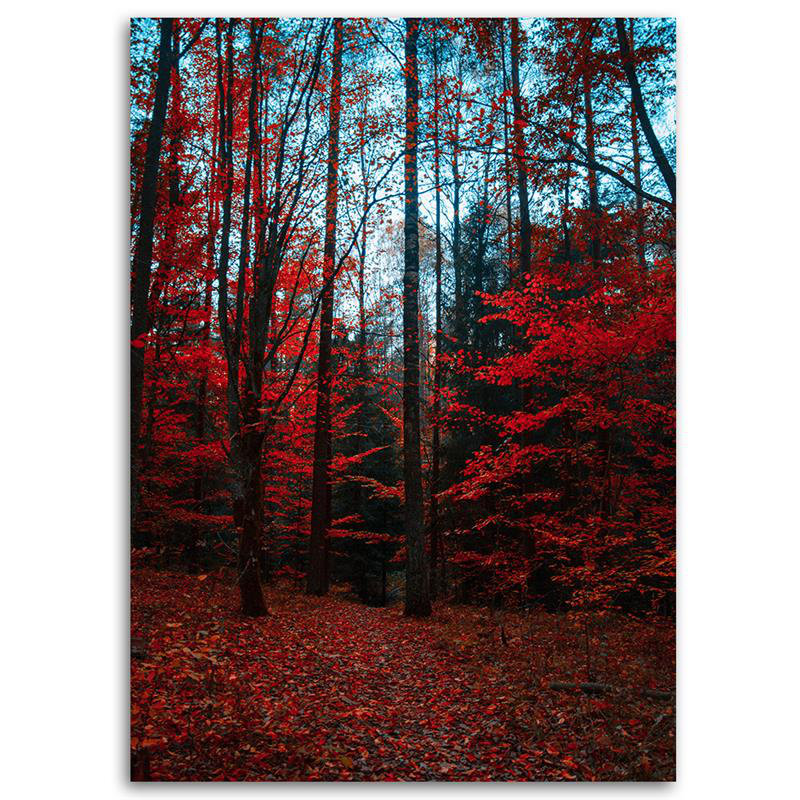 Leinwandbild Roter Wald mit Bäumen