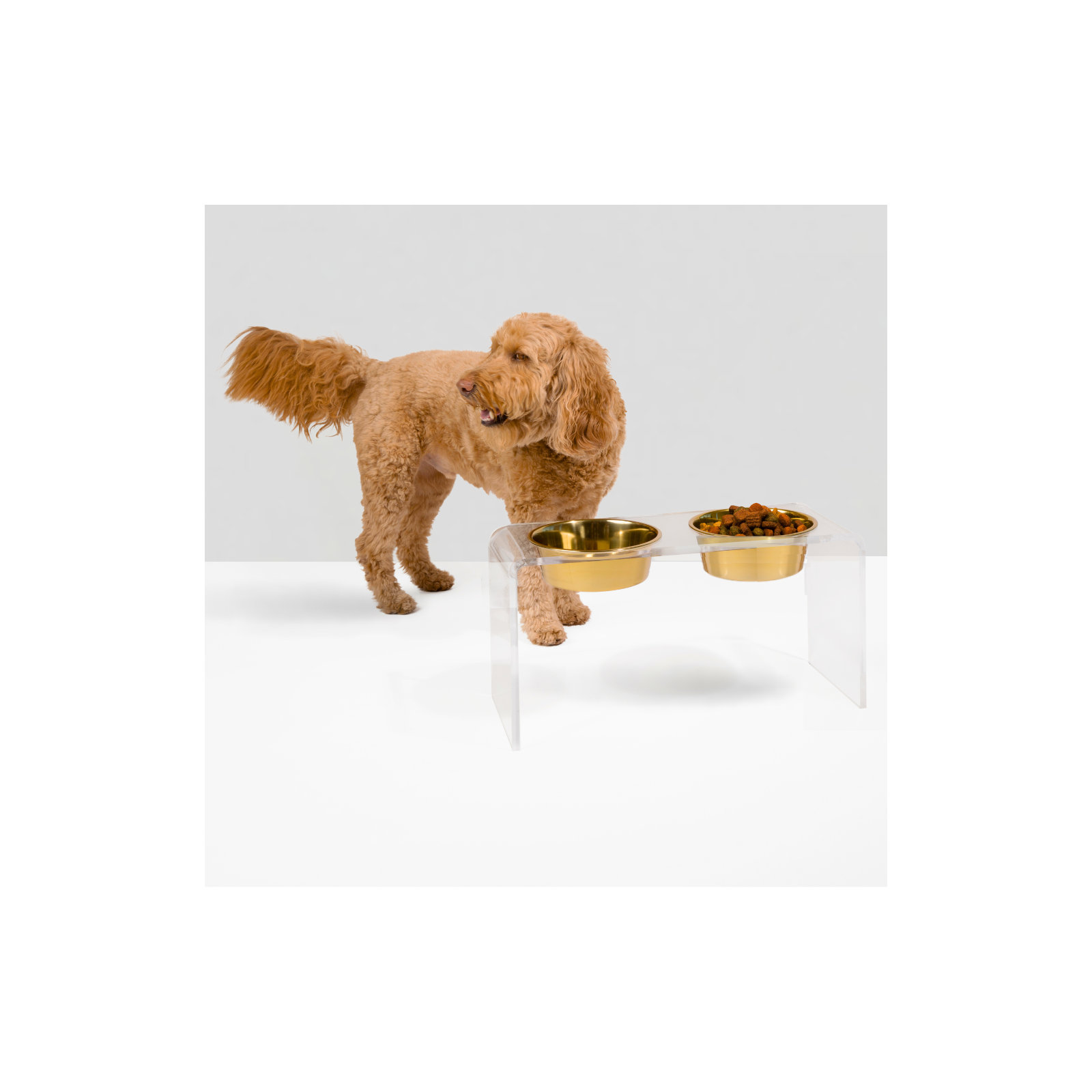 Tall Clear Elevated Feeder with Bowls, Gold