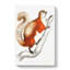 White Bellied Flying Squirrel Illustration by John Edward Gray - Wrapped Canvas Print-55305100