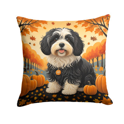 Coussin Havanais